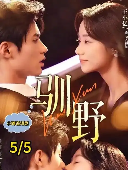 无声证词 剧集海报